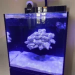 CP-RS – Filtre à rouleau pour Red Sea MAX NANO Cube et Peninsula