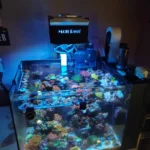 CP-WB Filtre à rouleau automatique – Waterbox AIO
