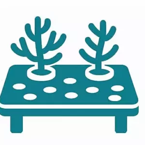 Rack à boutures
